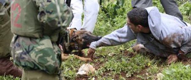 Köpeği saldırtıp kurtarıyormuş gibi yaptı