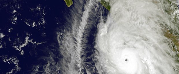 patricia111.jpg