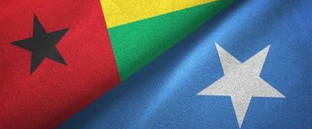 somali gine.jpg