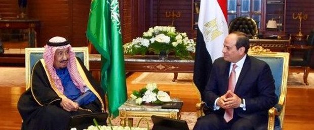 SALMAN SİSİ.JPG