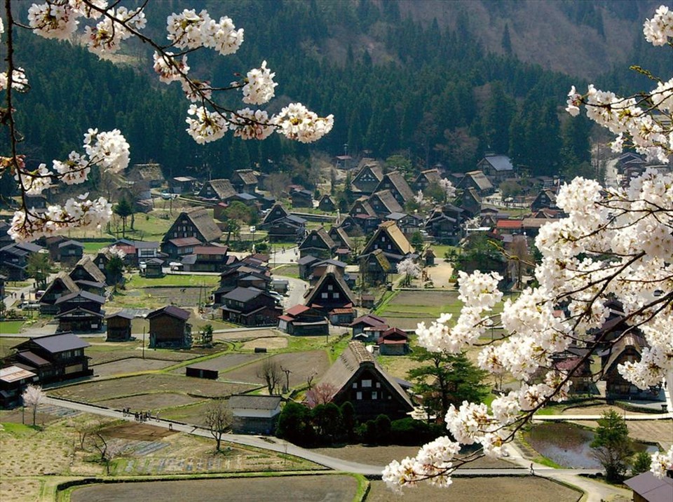 Japonya