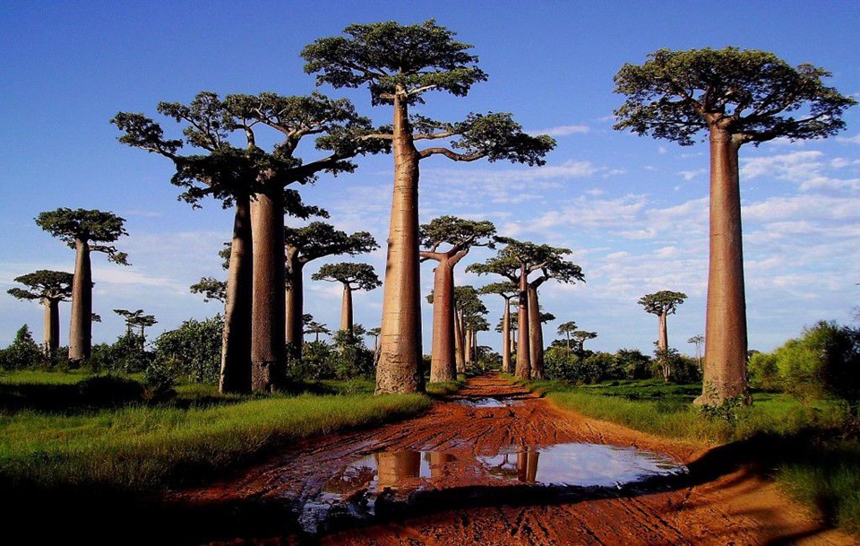 Madagaskar
