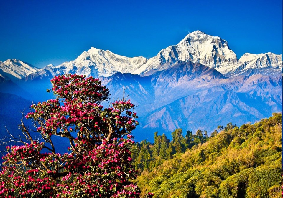 Nepal