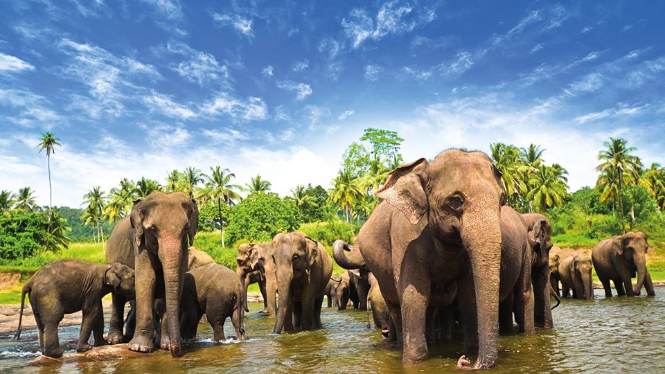 Sri Lanka