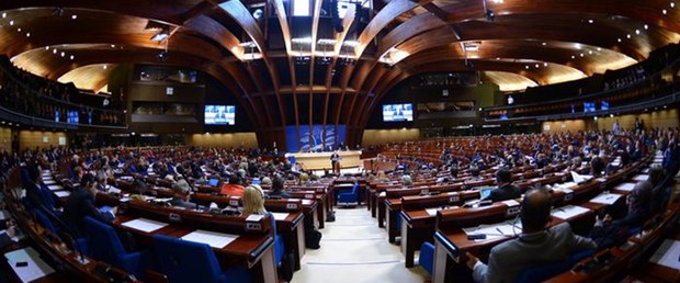 türkçe-avrupa-konseyi-çalışma-dili110515.jpg