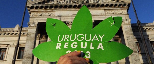 uruguay marihuana eczane satış180717.jpg