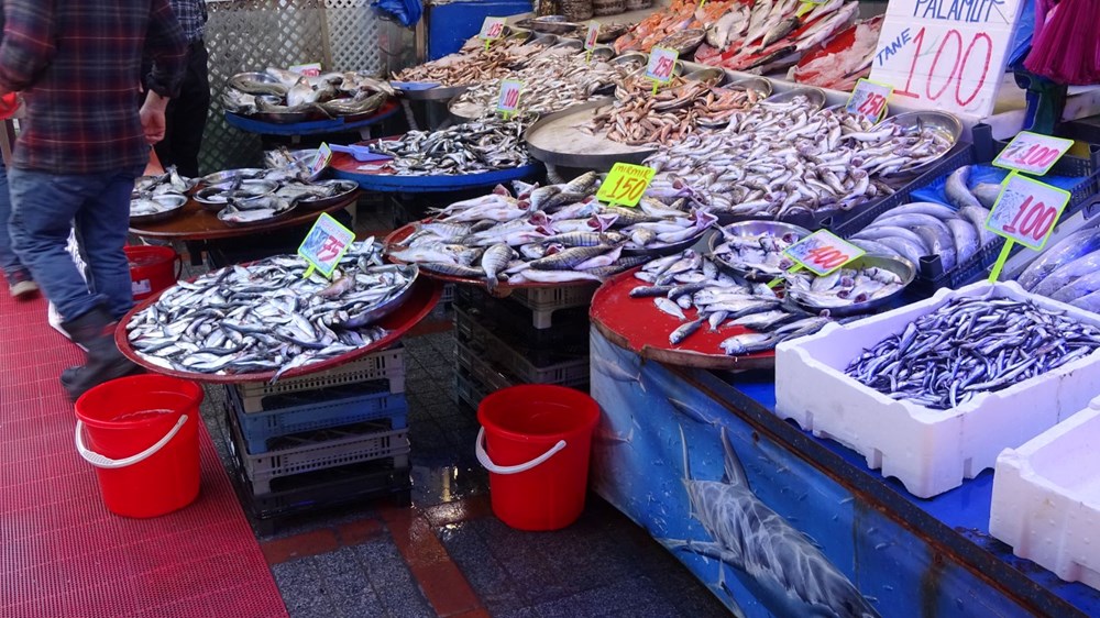 Deniz Suyu Isınıyor, Çeşitlilik Sofrada: Balık Tezgâhlarında Paradoks 74