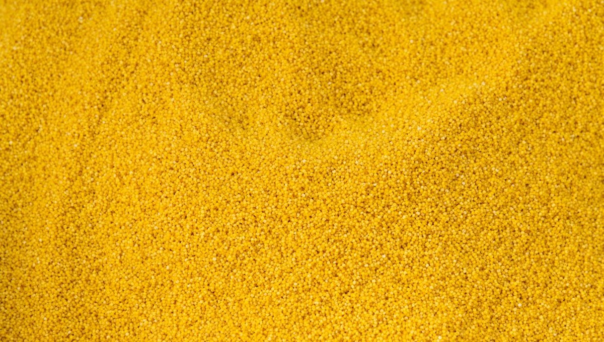 Dünyanın en zengin magnezyum kaynağı buymuş! Fosfor, manganez ve demir deposu Dünyanın en zengin magnezyum kaynağı buymuş! Fosfor, manganez ve demir deposu
