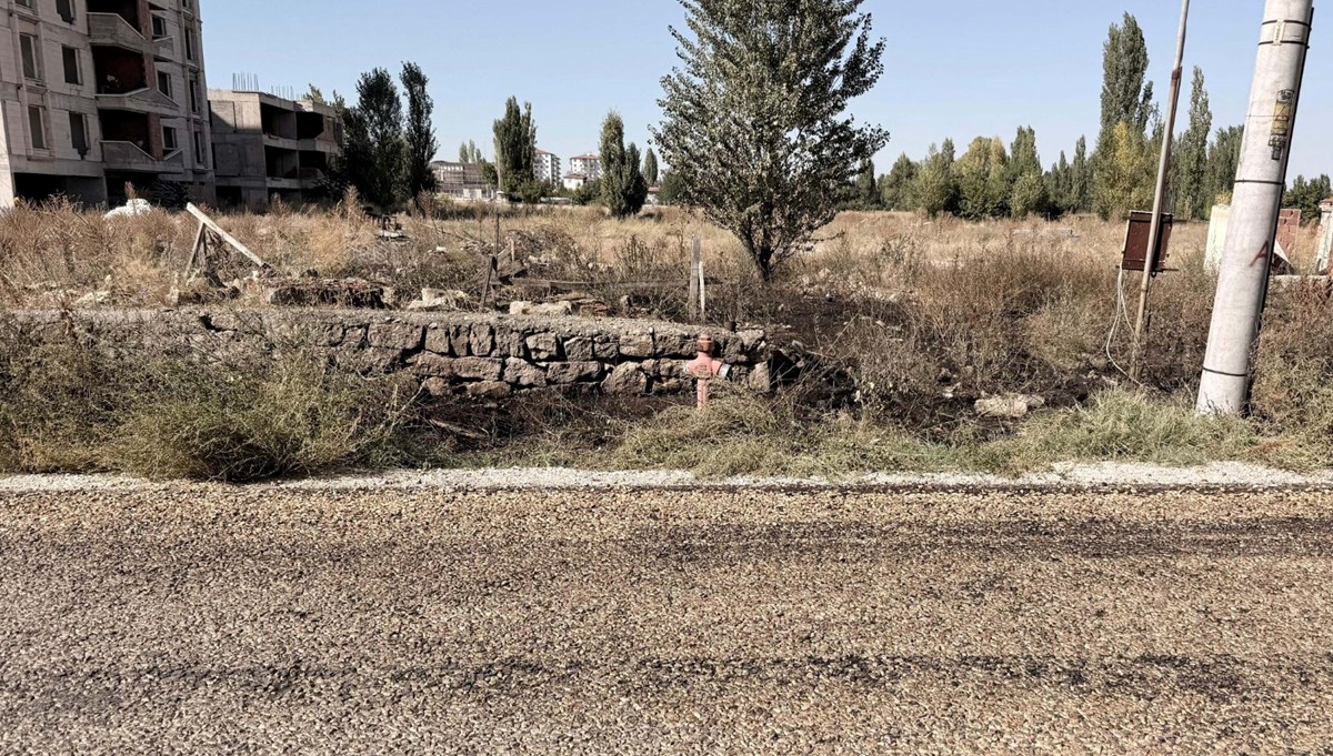 Evinin önündeki ot yangınında yaşamını yitirdi
