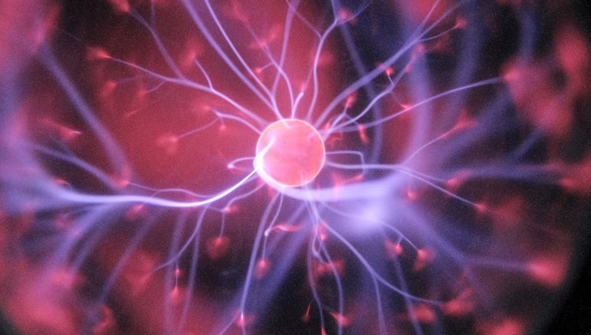 “Ölülerin beyinlerinden anıları çıkarıp almak mümkün”