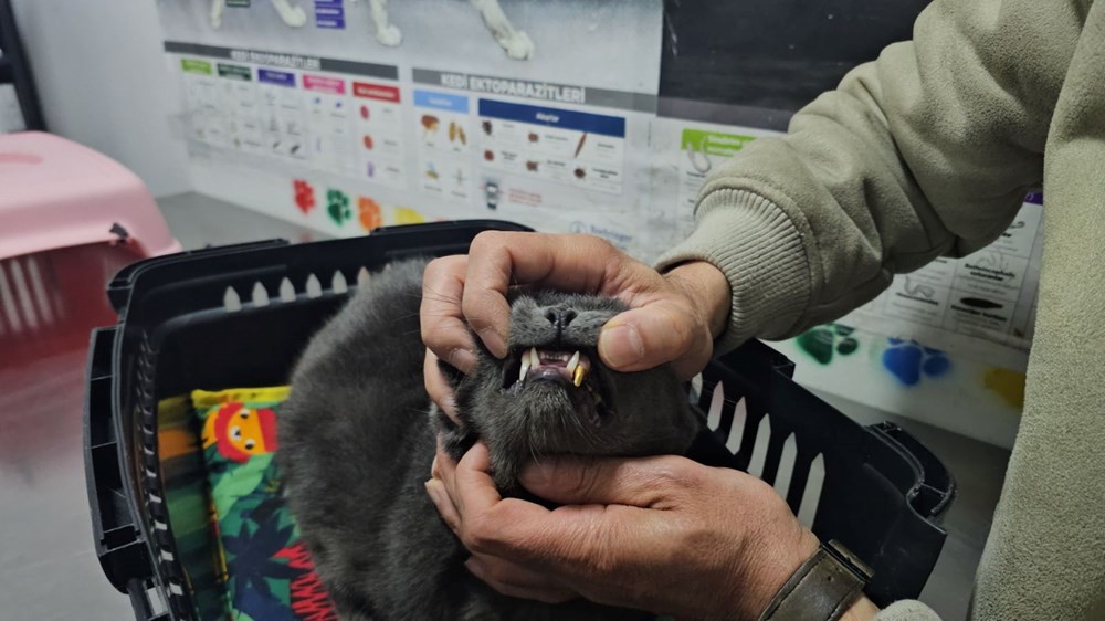 dyXM4GRq kKOH74twAyUnQ