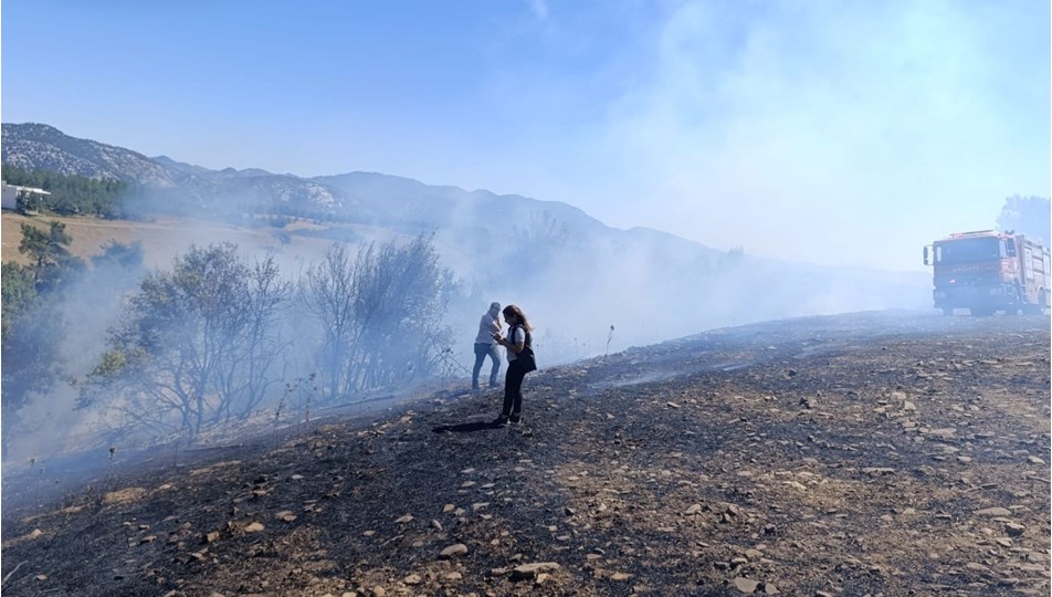 Adana'da orman yangını