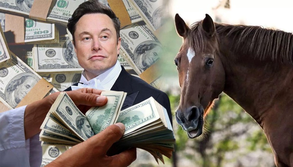 Elon Musk çalışanına cinsel organını gösterip at almak istedi, iddiası: Kadına susması için 250 bin dolar ödendi