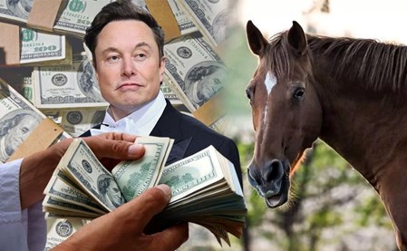 Elon Musk çalışanına cinsel organını gösterip at almak istedi, iddiası: Kadına susması için 250 bin dolar ödendi
