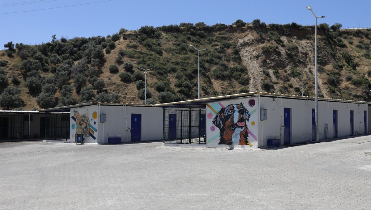 Sokak hayvanları için 244 bin metrekarelik yaşam alanı