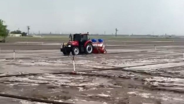 Dolu tarım arazilerini vurdu