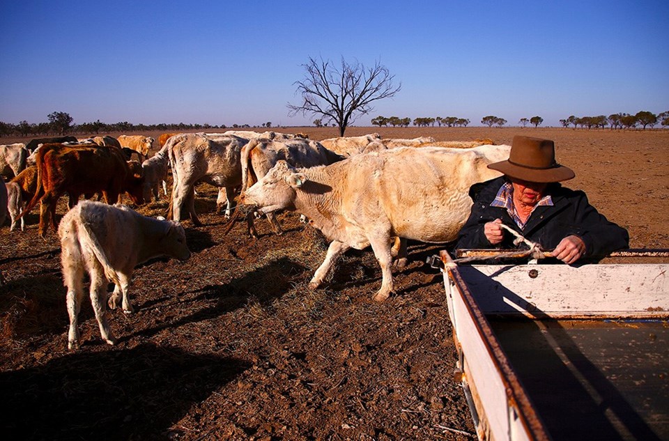 Avustralya Başbakanı Turnbull: Ülkemiz kuraklık diyarı haline geldi - 2