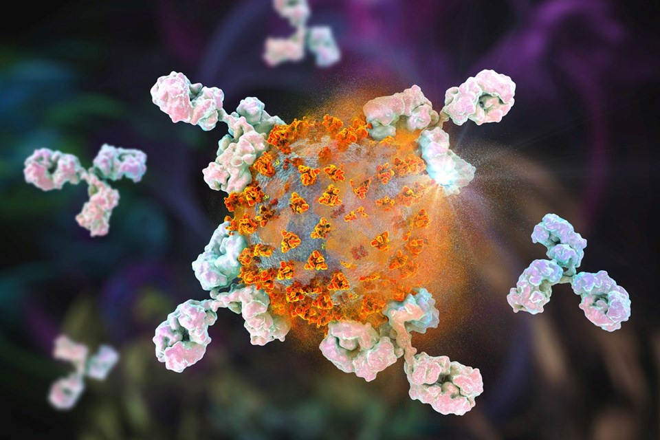 Yeni corona virüs salgını 1 mutasyon uzaklıkta: DSÖ'den NeoCov tehlikesine ilişkin açıklama - 1