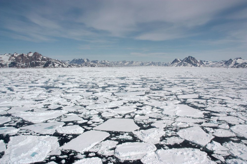Dünyanın geleceği alarm veriyor: Antarktika'daki deniz buzu 43 yılın en düşük seviyesine geriledi - 4