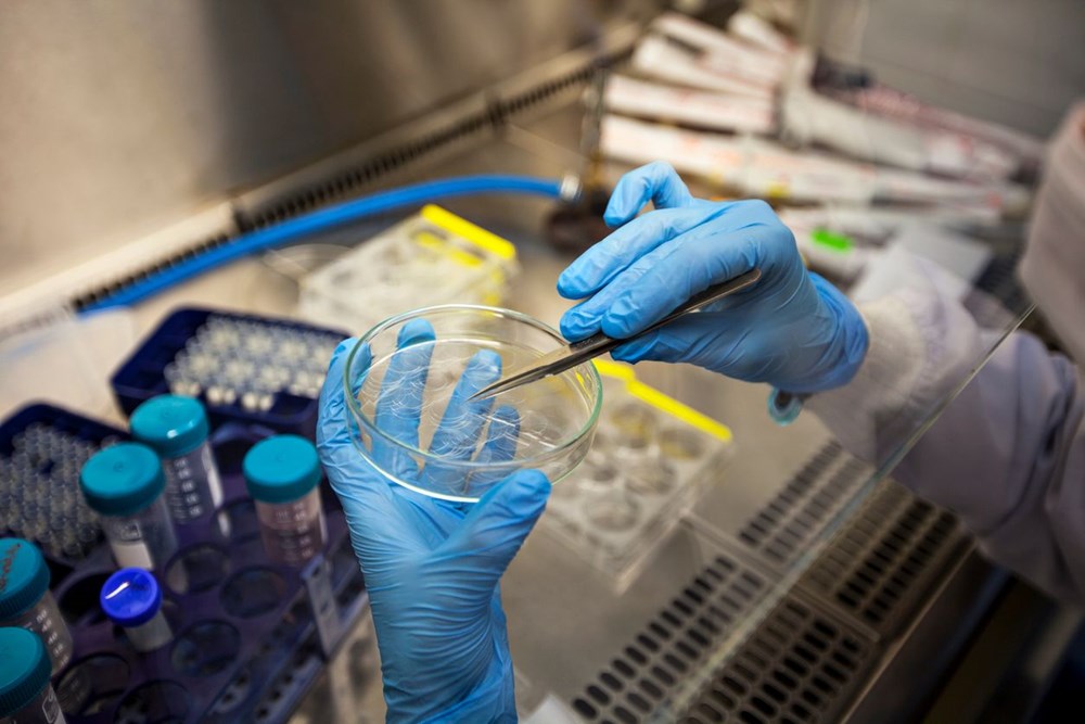 Günde 17 dakika cep telefonu kullanmak, kanser riskini yüzde 60 artırıyor - 10