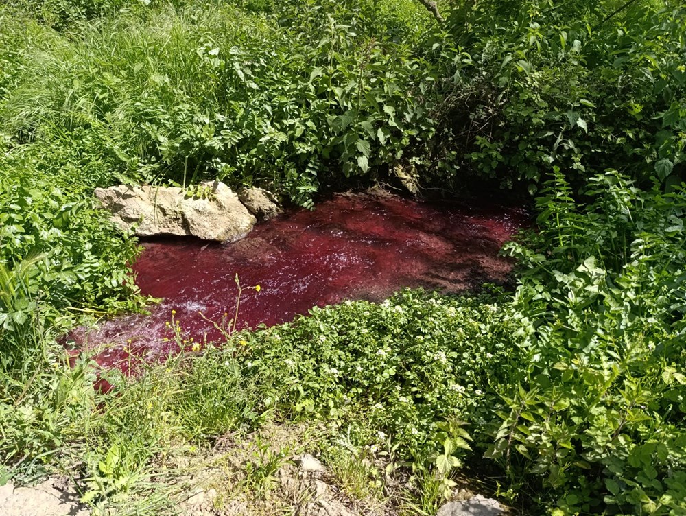 Gören bir daha baktı: Bursa'da bu dere "kan" ağlıyor 76 e67Jz gHUqnlX 45 G4Fg