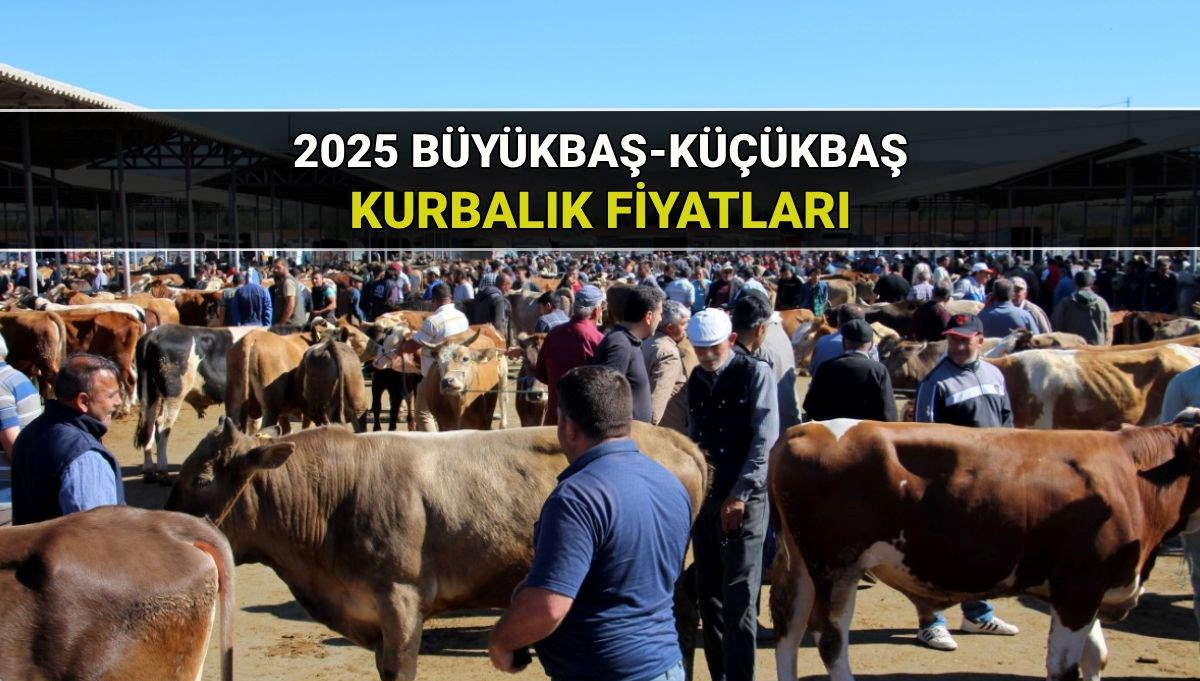 Büyükbaş - küçükbaş kurban fiyatları 2025: Kurbanlık kilogram ve hisseli fiyatı ne kadar? Büyükbaş - küçükbaş kurban fiyatları 2025: Kurbanlık kilogram ve hisseli fiyatı ne kadar?