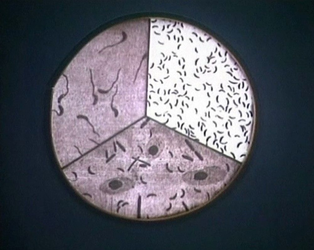 70 yıl sonra gelen itiraf: Esirleri canlı canlı parçalara ayırdılar, veba bulaştırdılar - 4