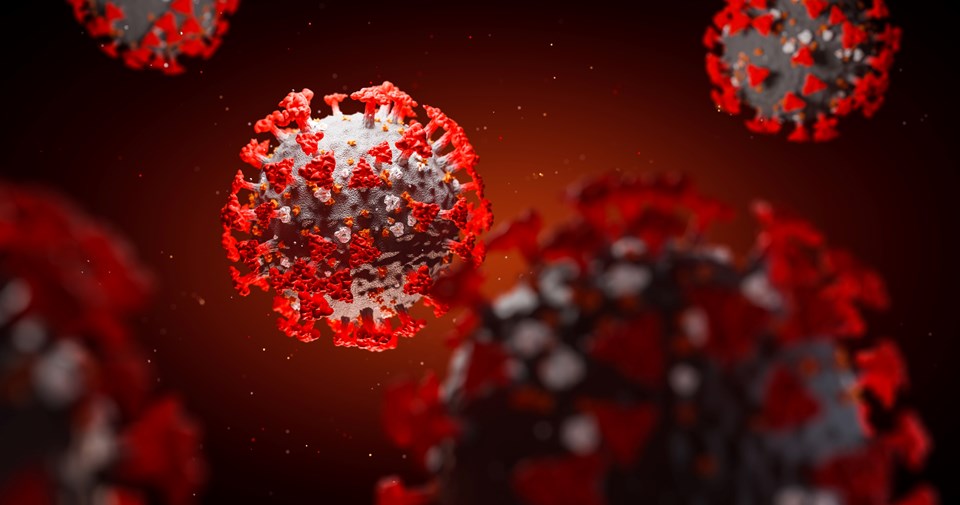 Corona virüse karşı aktif bağışıklığı ölçen kan testi geliştirildi - 1