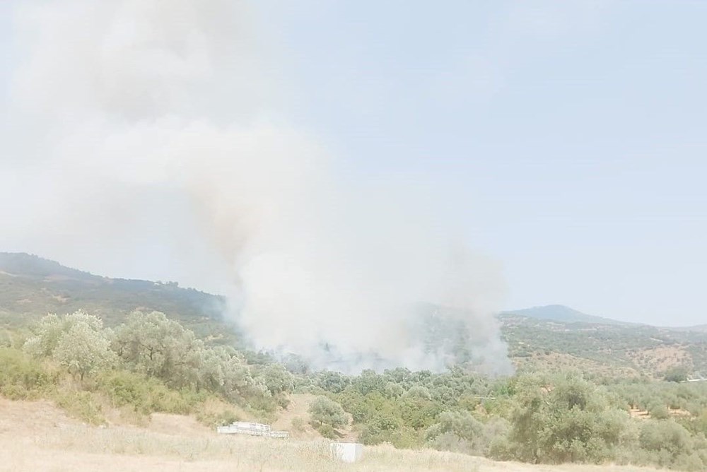 Afyonkarahisar, Kütahya ve İzmir'de orman yangını - 8