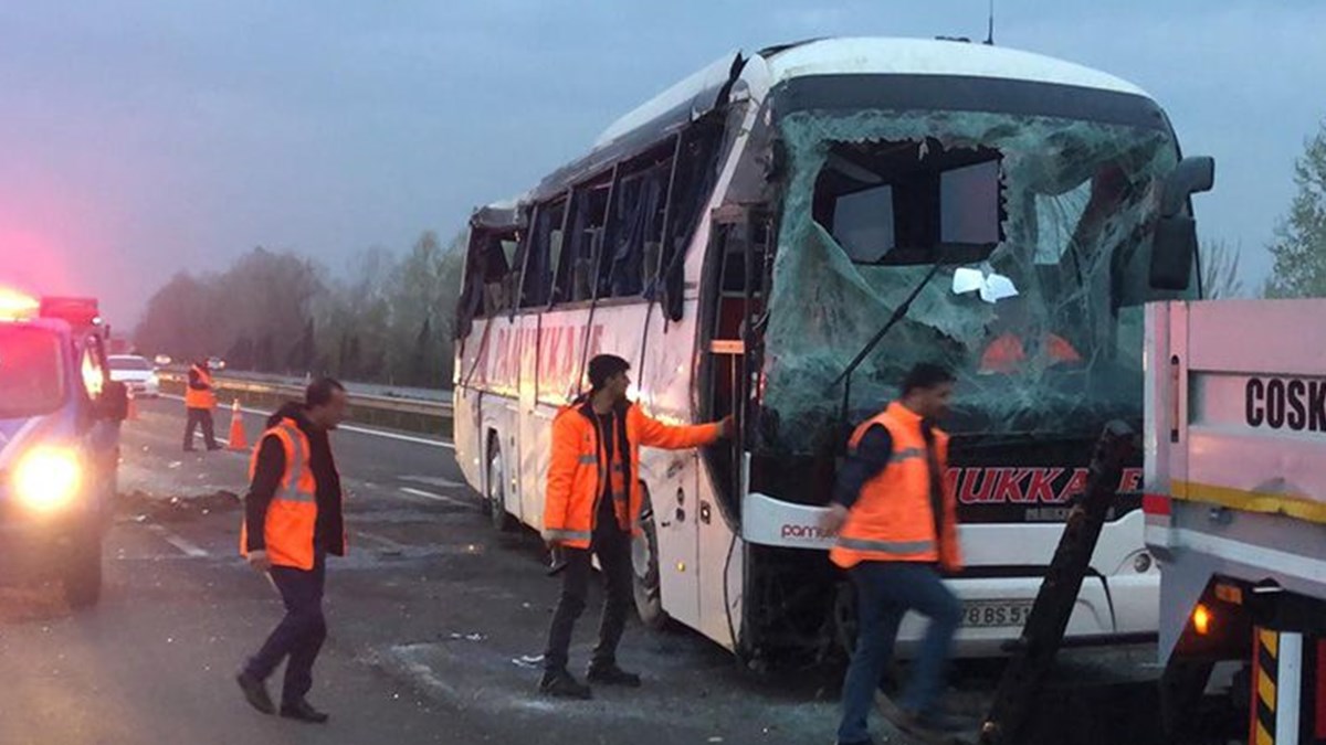 bodrum sakarya otobus