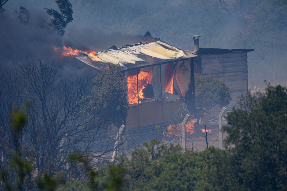 İzmir'de orman yangınları kontrol altına alındı - 9