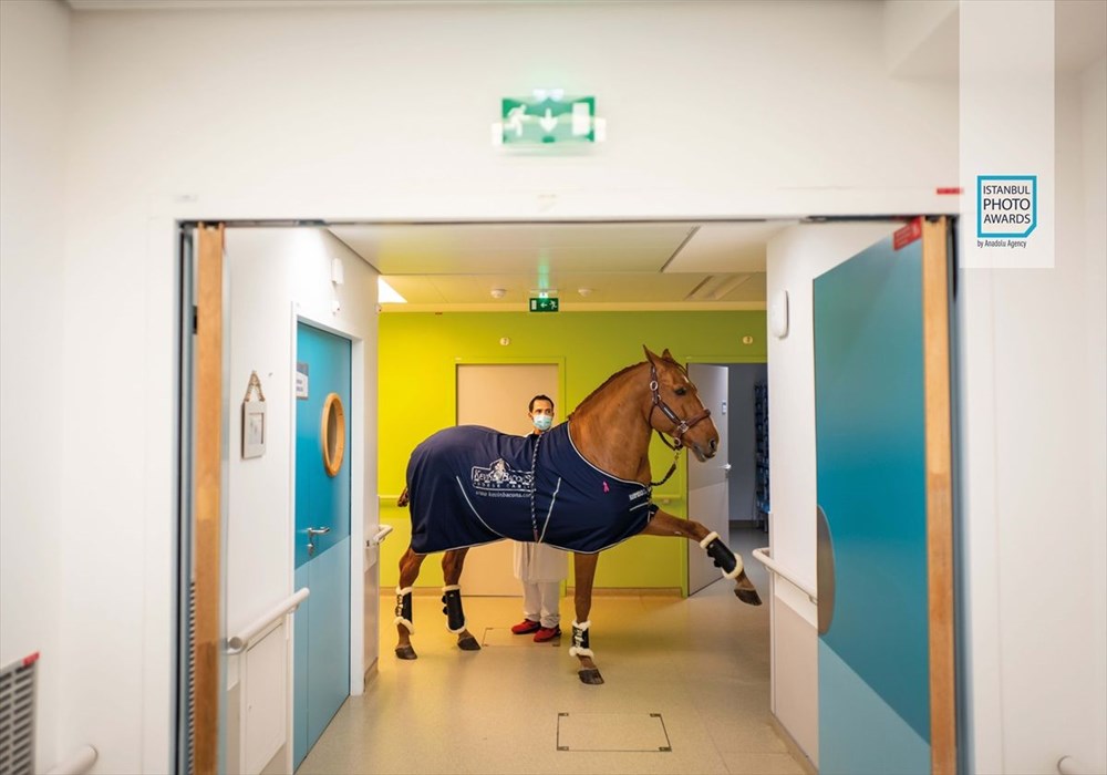 Istanbul Photo Awards 2021 kazananları açıklandı - 69