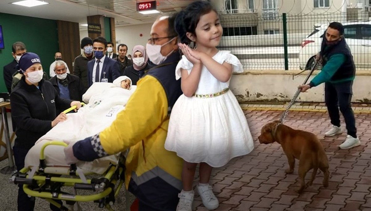 Rektör Özkan: Asiye'nin ağıza giden sinirlerinde tahribat var