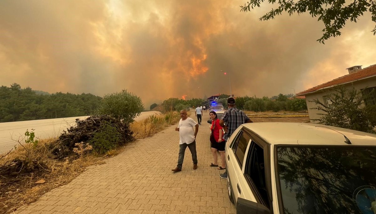 Denizli'de orman yangını