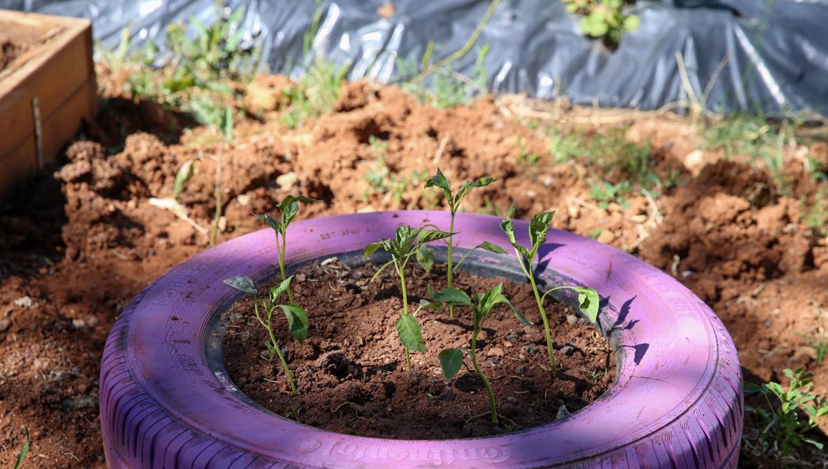 Türkiye'nin ilk agro kütüphanesi Uluslararası Yeşil Kütüphane Ödülü için ilk 5'te