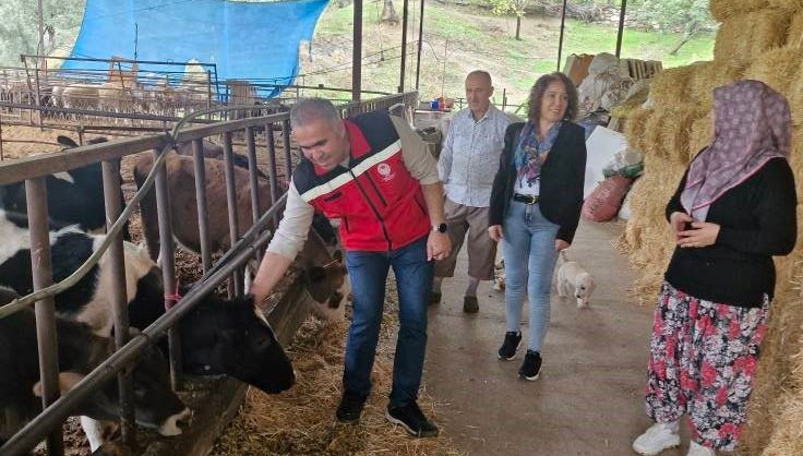 Kendi işletmesini kurdu: 25 büyükbaş hayvanla başladı