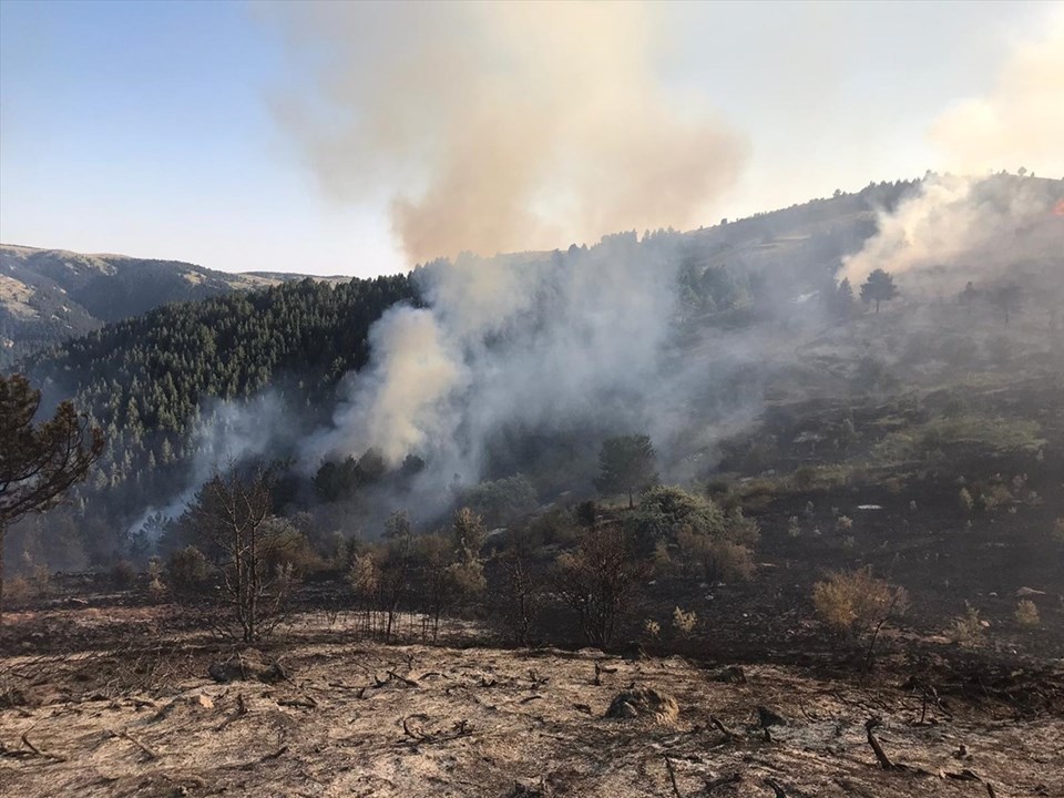 Kastamonu ve Çankırı'da orman yangını - 4