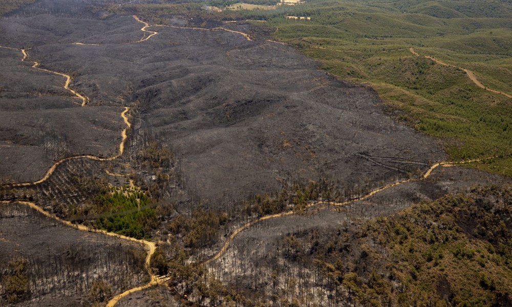 Yangının başladığı bölge ve yanan ormanlık alan havadan görüntülendi - 9