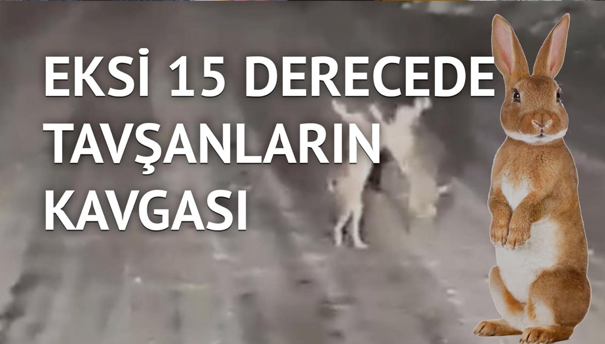 '' Bu soğuk havada ne oldu da bu kadar kızdınız?''