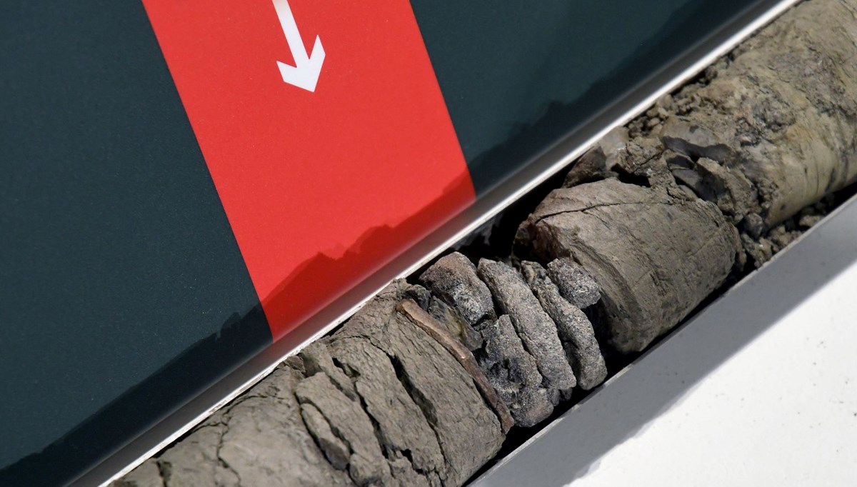 Müze otoparkının altında dinozor fosili bulundu