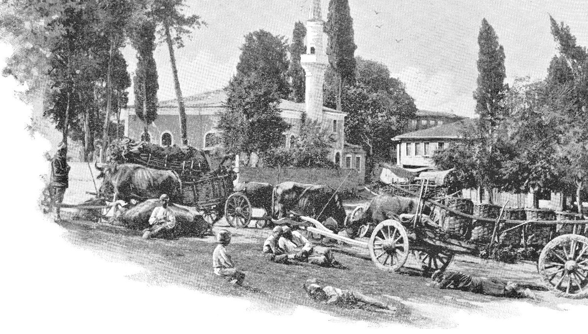 Osmanlı'da hayvan hakları tarihi belgelerde