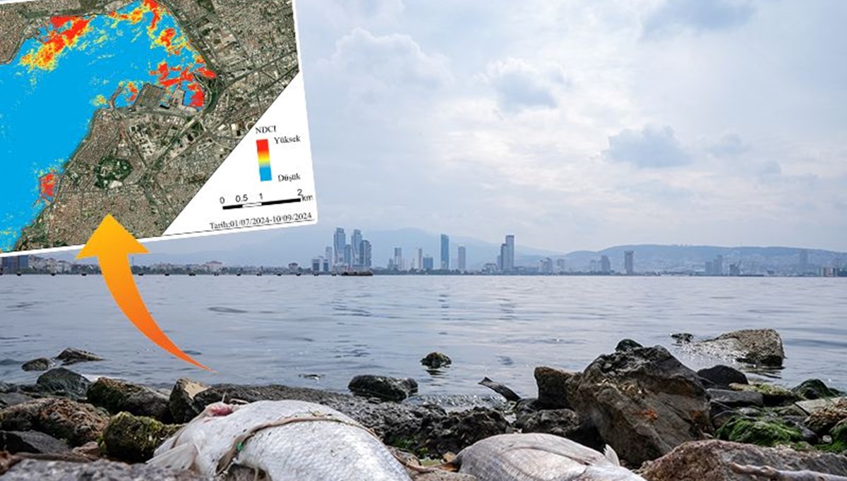 İzmir Körfezi'ndeki kirlilik uydu görüntülerine yansıdı İzmir Körfezi'ndeki kirlilik uydu görüntülerine yansıdı