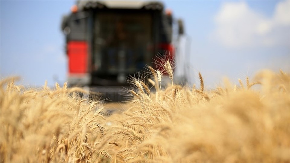 Küresel gıda fiyatları dört aydır düşüşte - 1