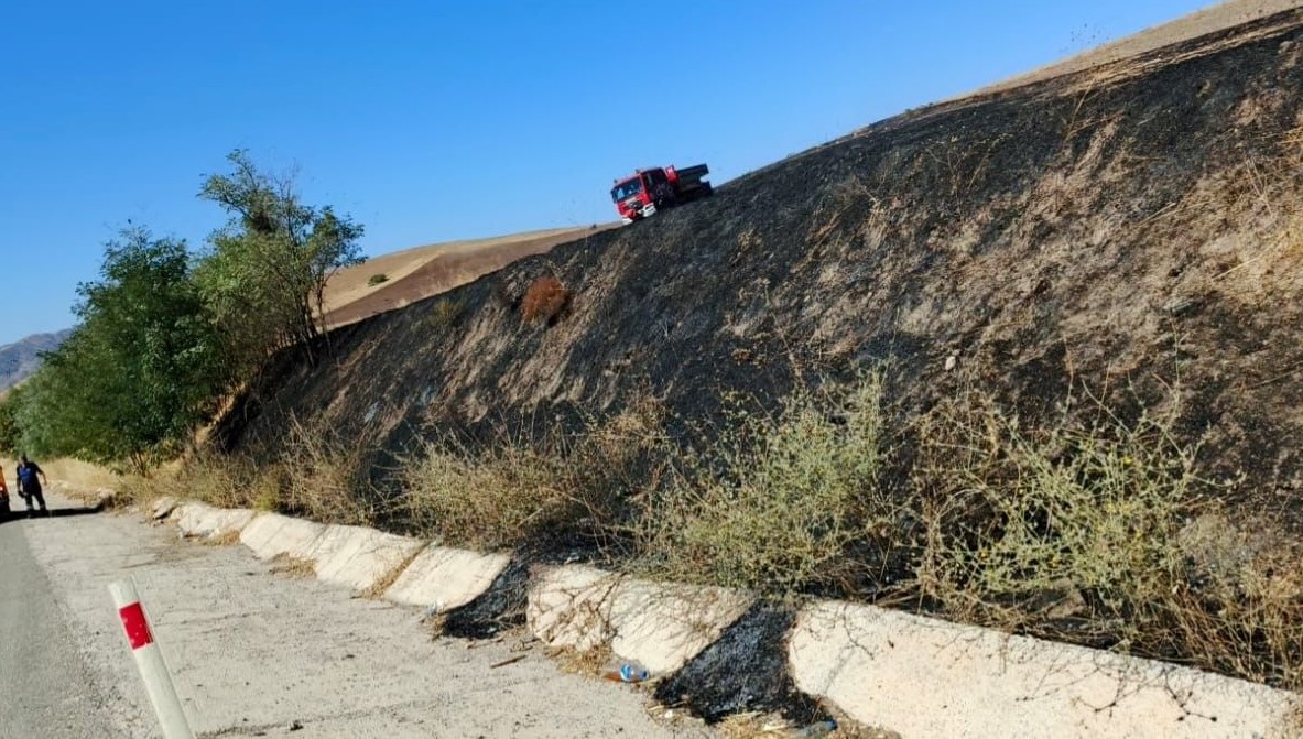 Elazığ’da otluk alanda yangın