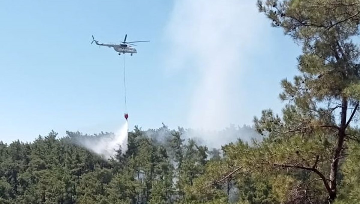 Muğla'da orman yangını