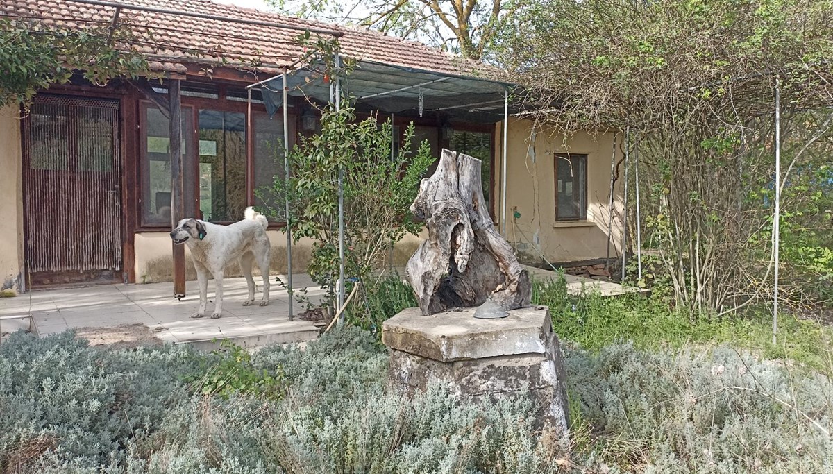 Umutlar tükendi, 300 gündür haber yok! Korhan Berzeg'in ailesi evi kapattı Umutlar tükendi, 300 gündür haber yok! Korhan Berzeg'in ailesi evi kapattı