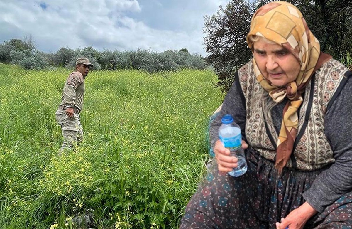 Mantar toplarken kaybolon kadın 3 gün sonra bulundu Mantar toplarken kaybolon kadın 3 gün sonra bulundu