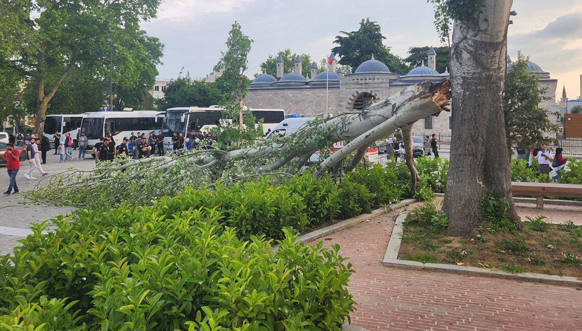 Beyazıt Meydanı'nda turist rehberi devrilen ağacın altında kaldı Beyazıt Meydanı'nda turist rehberi devrilen ağacın altında kaldı
