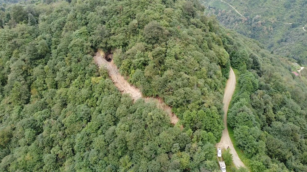 Define için ormanda yol açtılar - 1