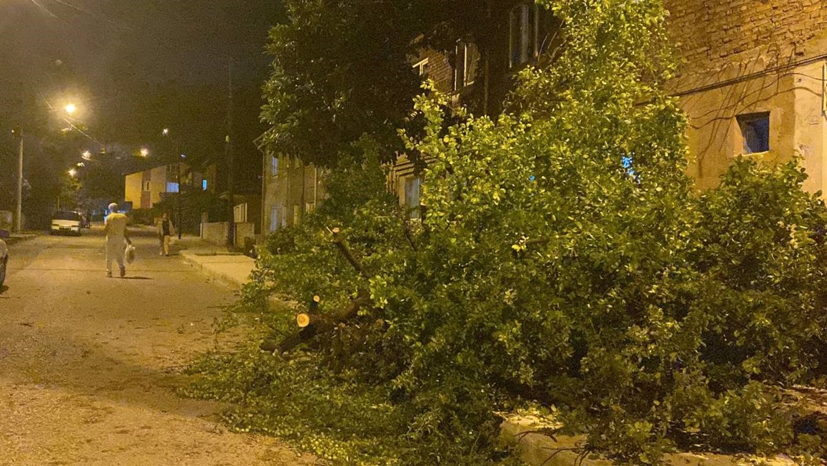 Karabük’te fırtına ağaçları devirdi Karabük’te fırtına ağaçları devirdi